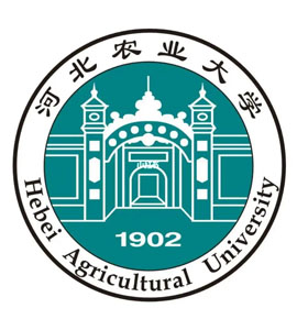 西青河北农业大学